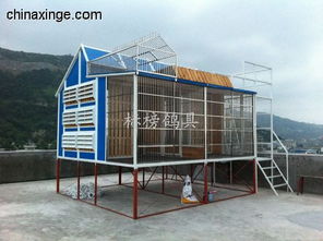 汕头标榜鸽具厂